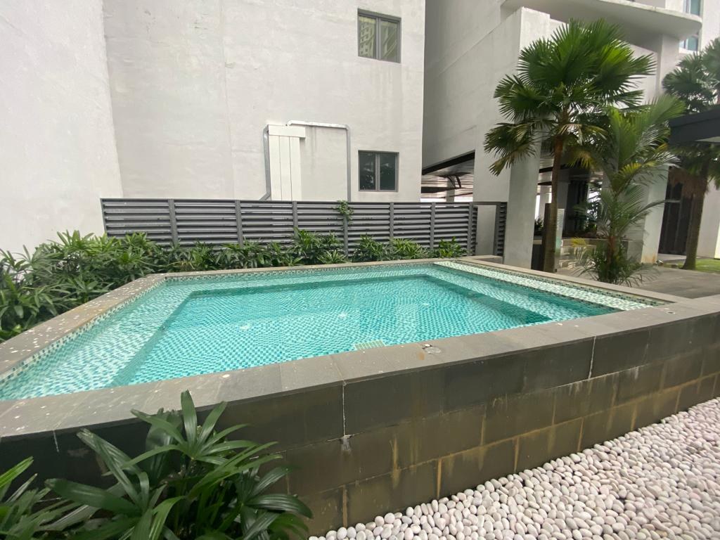 Landscaped courtyard swimming pool bordered by planting and paving
